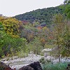Lost Maples State Natural Area